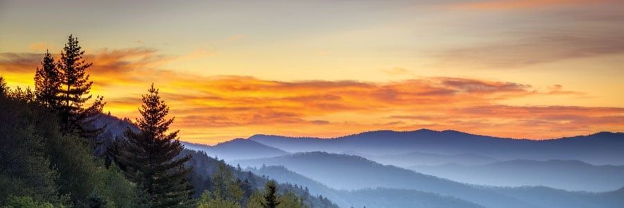 TheDuffster15's profile banner image