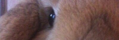 Ferr_Kon's profile banner image