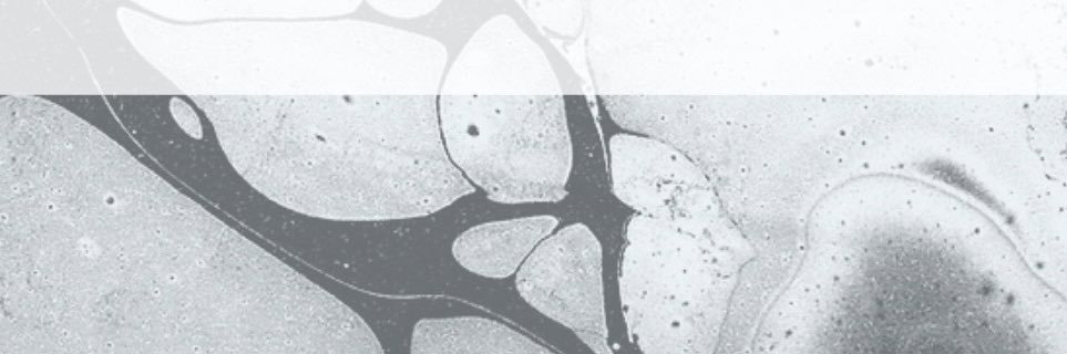 Artifact Foundation's banner