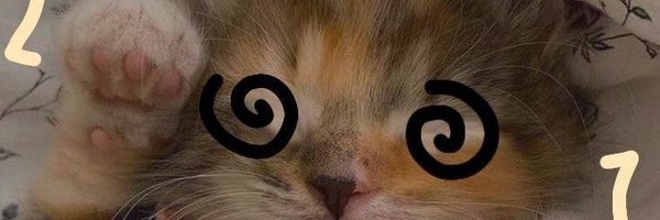 kiim_orange Profile Banner