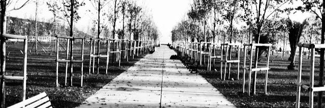 Erkan banner