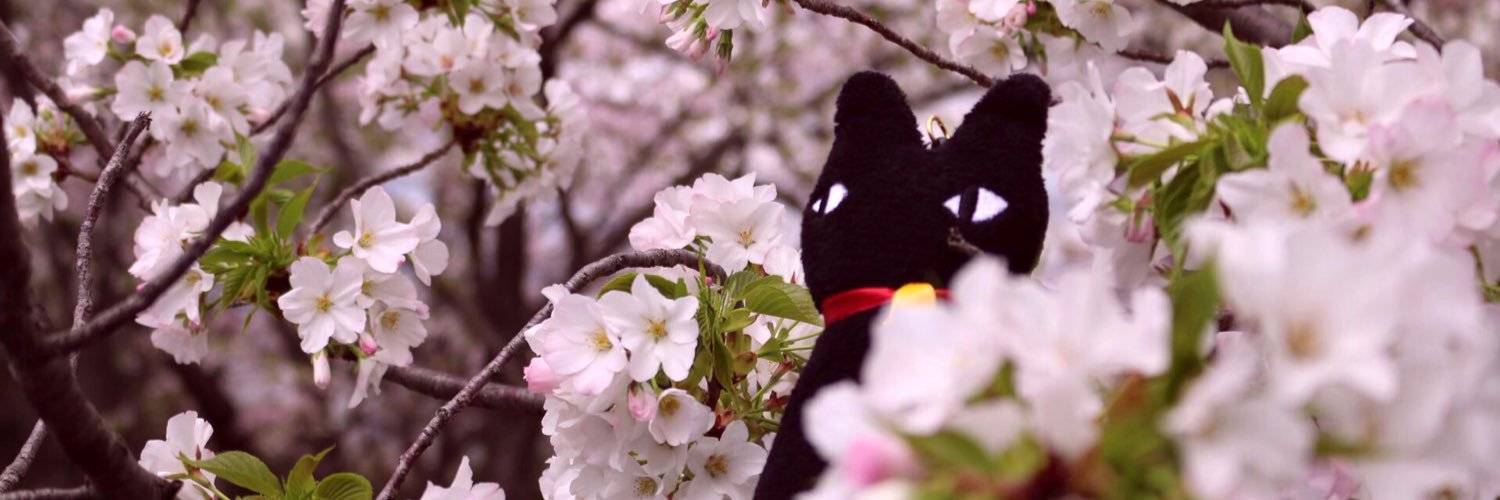 kuronukounion's profile banner image