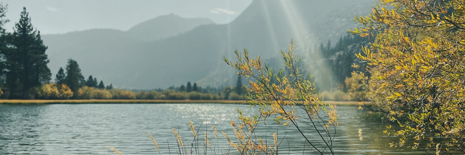 nee1p's profile banner image