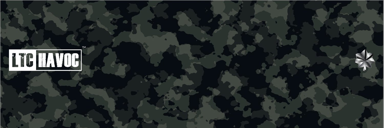 ltchavoc's profile banner image