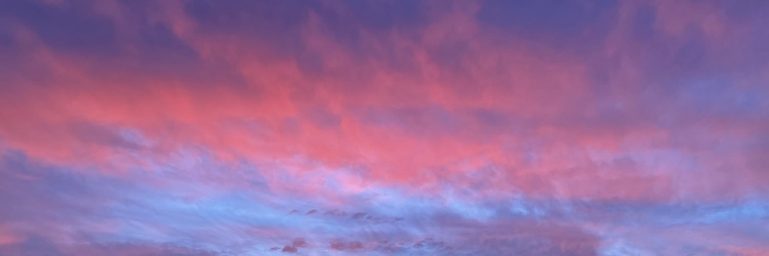 pauradisea's profile banner image