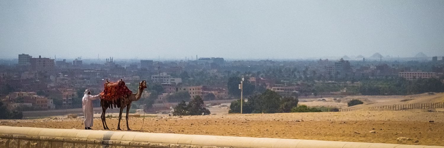 Malafemmena banner