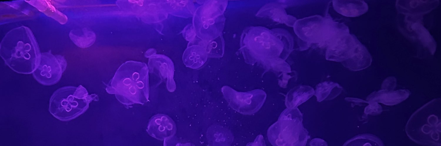 ☀️ banner