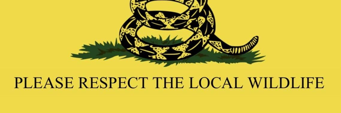 (Institutionalizing 🏛️) Harun STG banner