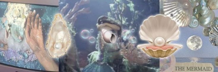 bulA 🧜🏻‍♀️ banner