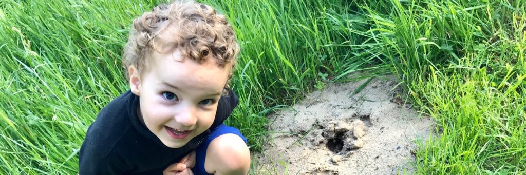 Mark O’Shea banner