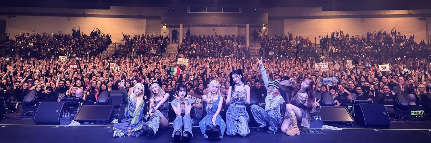 🐥🦊 banner