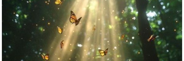 survi166 Profile Banner