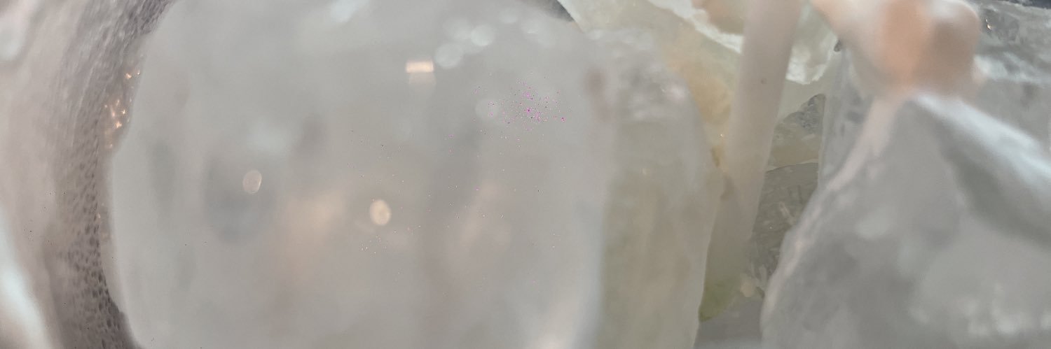 でででぽち banner