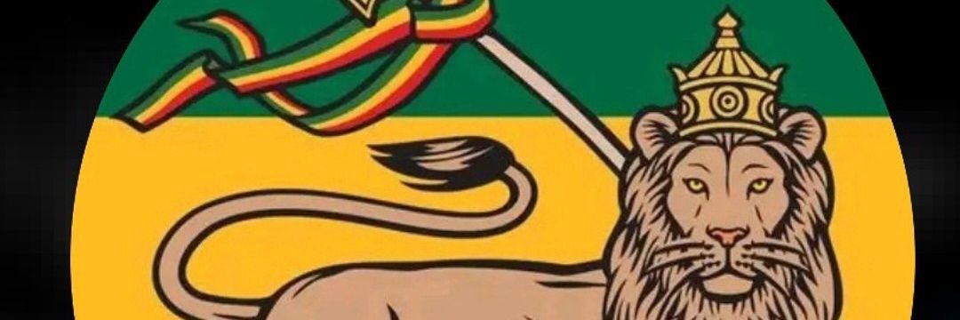 AloiceChief's profile banner image
