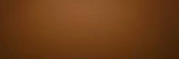 52025CPA Profile Banner