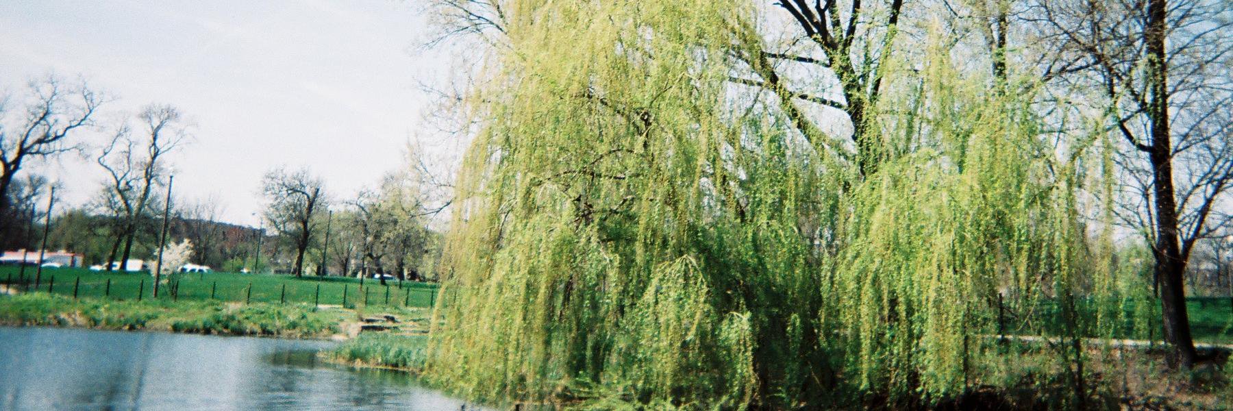 killsee's profile banner image