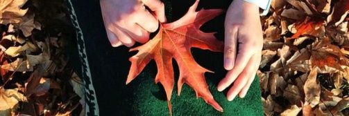 Cyanide 🍁 🇵🇸 banner