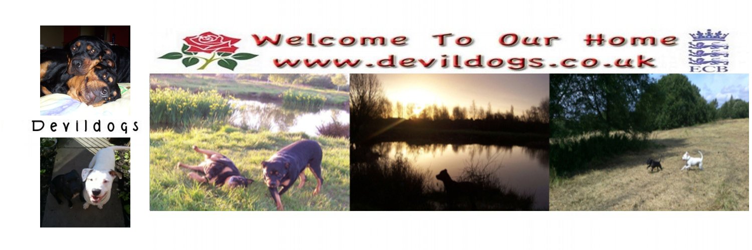 devildogcricket's profile banner image