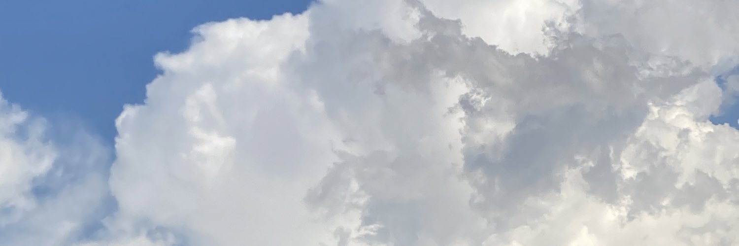deadwallets's profile banner image