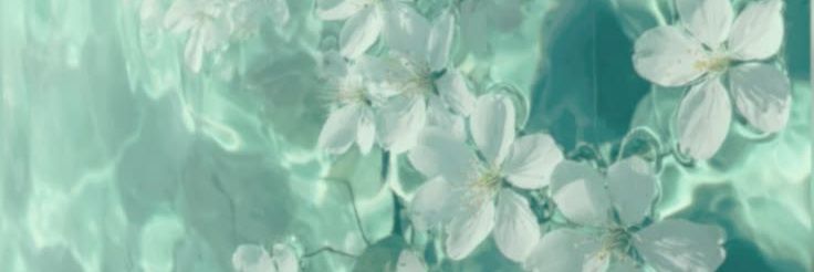 𝕷ucielle ‧₊ 🎐 banner