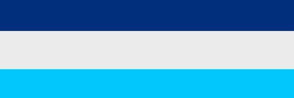 BluesRepB Profile Banner