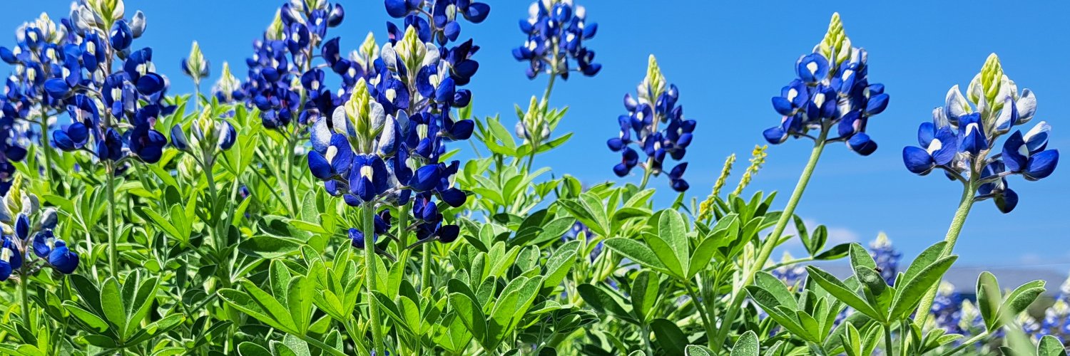 Zsusew45's profile banner image