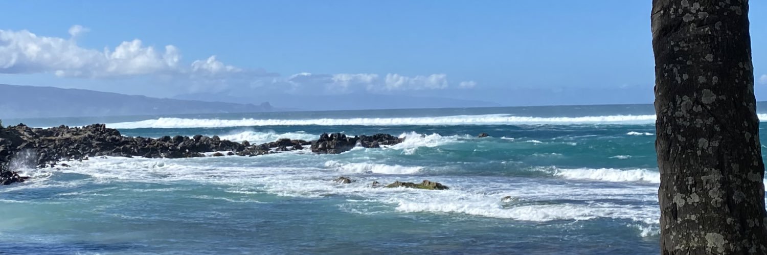 Squinty the Cat banner