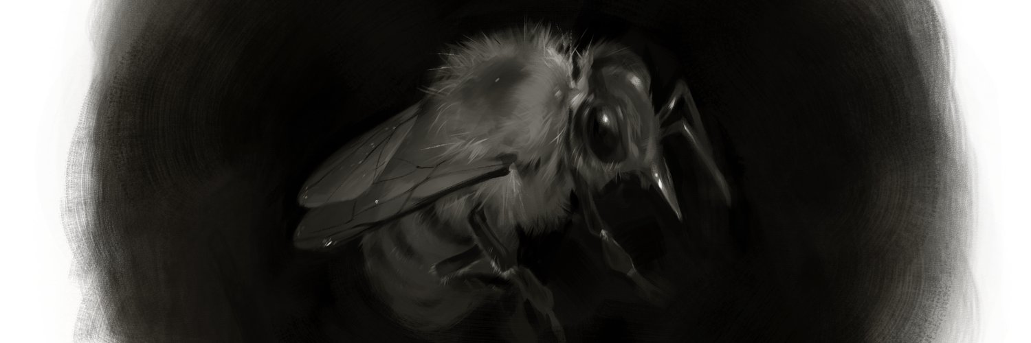 TFischConcept's profile banner image