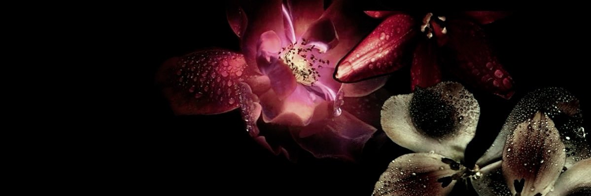 duyee's banner