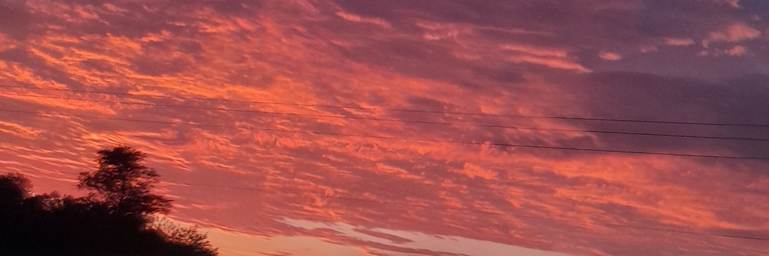 minturra's profile banner image