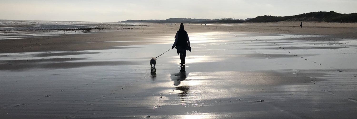 Doug Turnbull banner