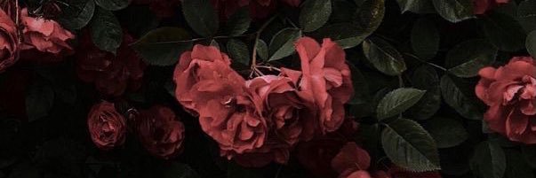 Me__ren's profile banner image