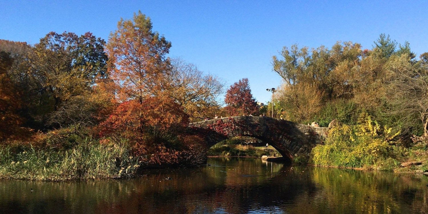 C. John Schoonejongen banner