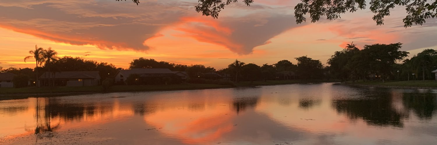lindseynuzzo's profile banner image