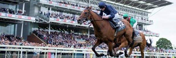 JBHracing07 Profile Banner