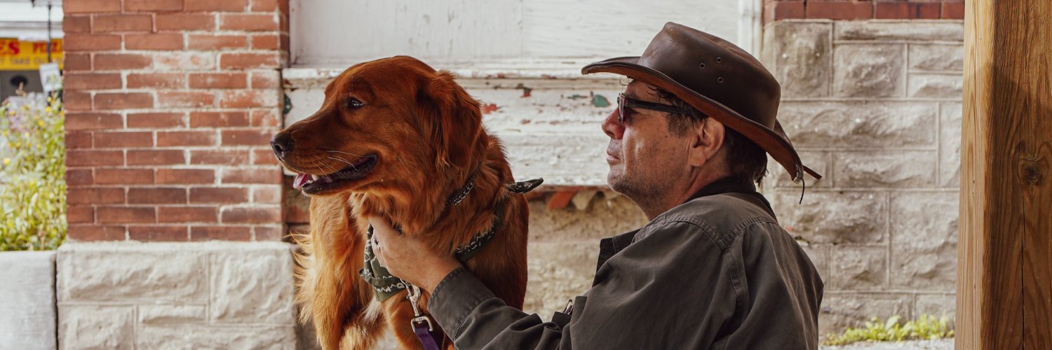 Mark Morton is querying! banner