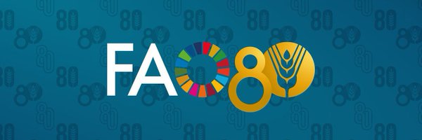 FAO_Venezuela Profile Banner