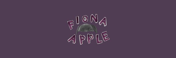 aurora banner