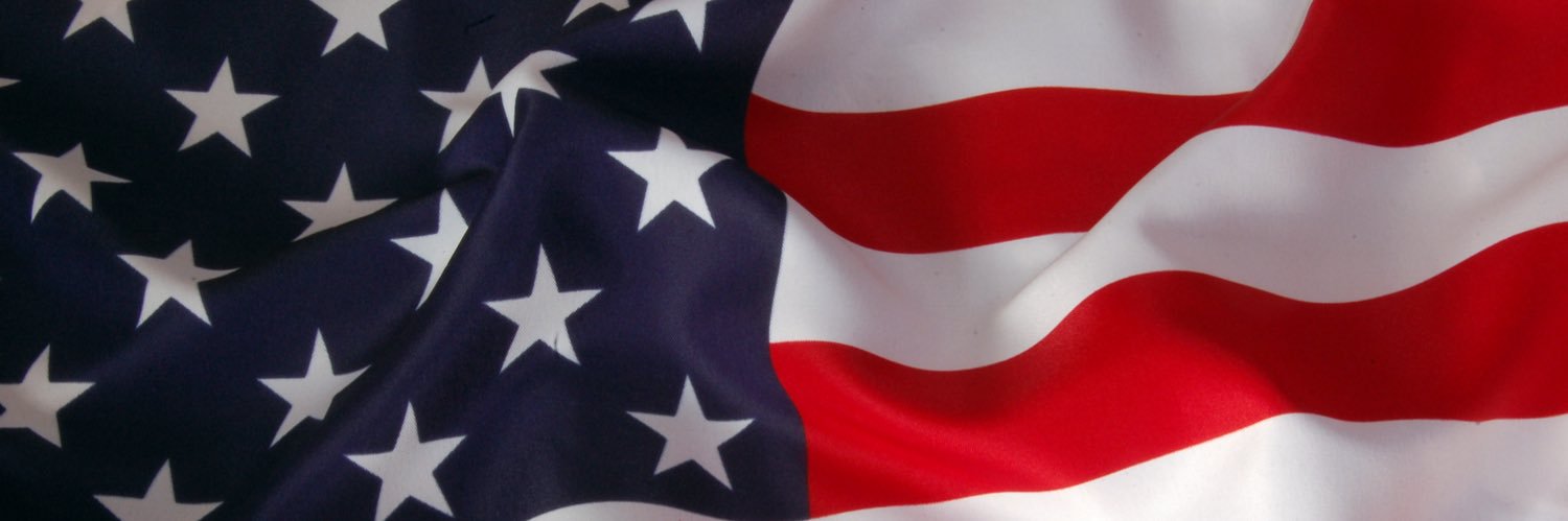 🇺🇸LadybugUSA banner