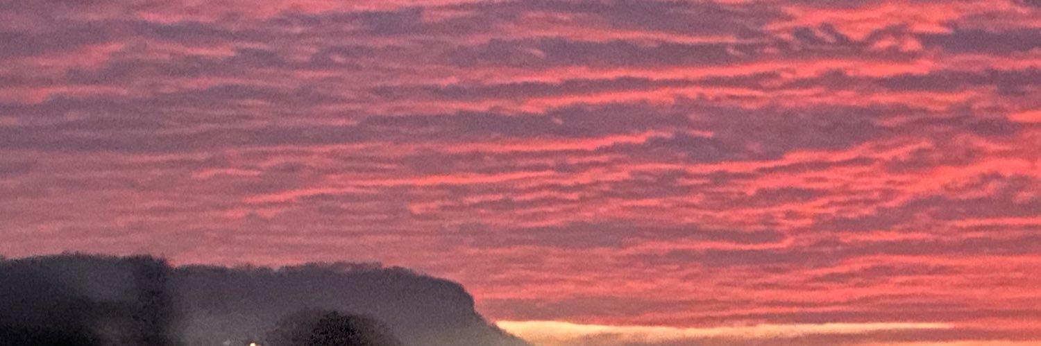 Traindriverwaldo banner