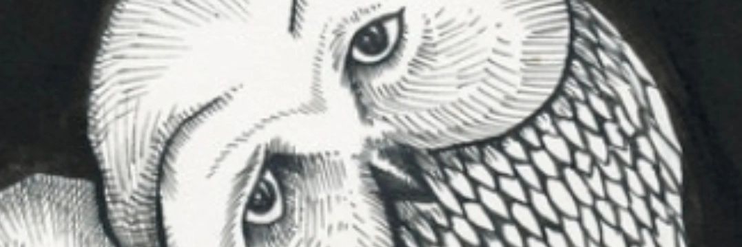 BWU_ARTS's profile banner image