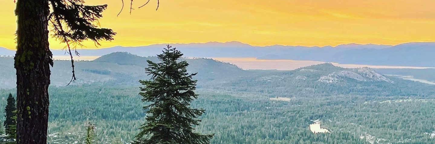 🏳️‍🌈 Lori Droste banner