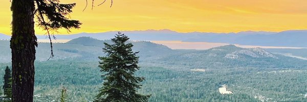 loridroste Profile Banner