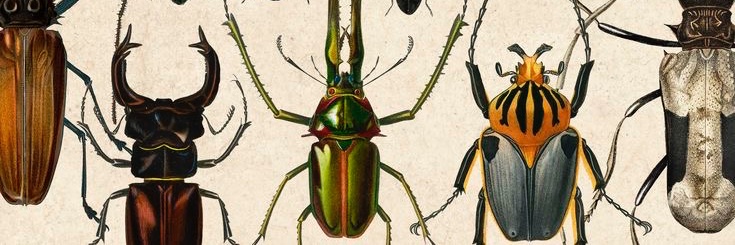 CENTIPEEDL3's profile banner image