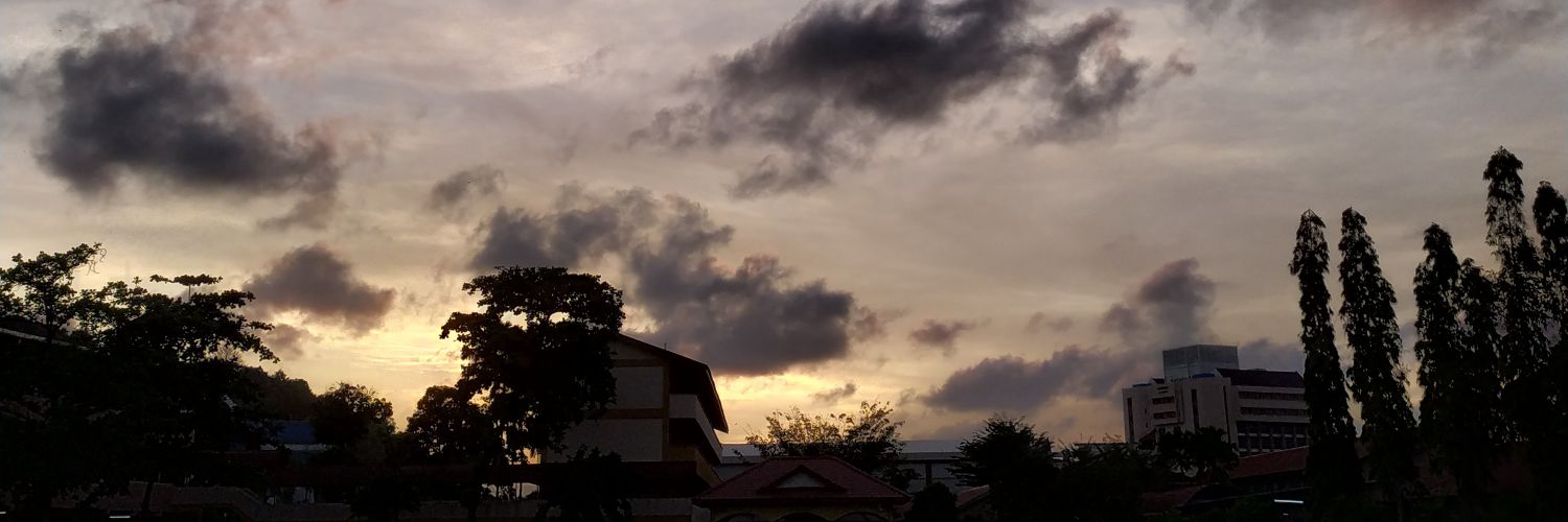 hweeli_elf's profile banner image