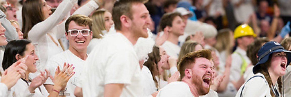 The Bull Sheet™️'s banner