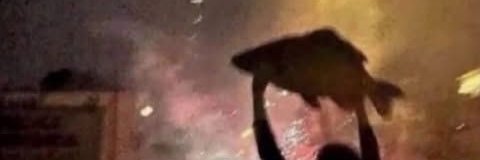 Archive banner