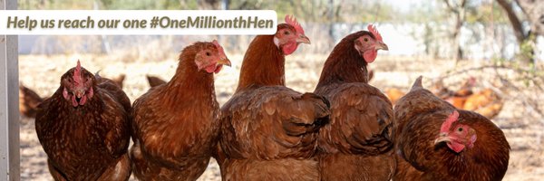 BHWTOfficial Profile Banner