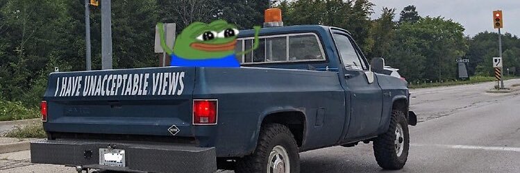 Ford Groyper banner