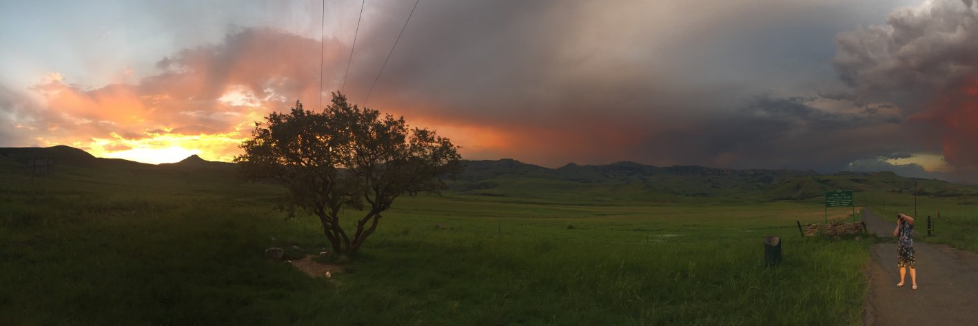 foldr's profile banner image